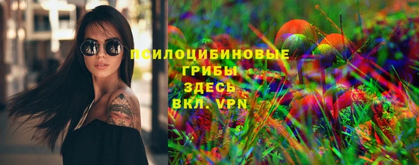 эйфоретик Аркадак