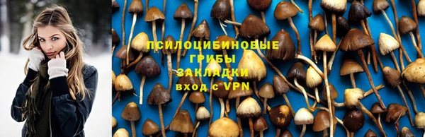 эйфоретик Аркадак