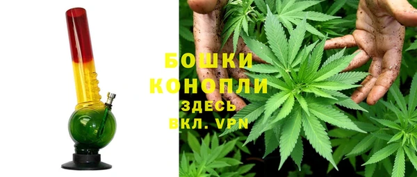 винт Арсеньев