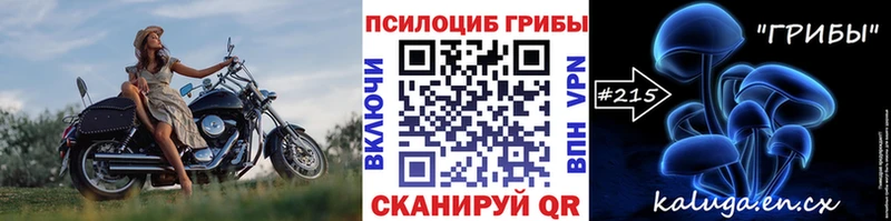 Псилоцибиновые грибы мухоморы  где можно купить наркотик  Саянск 